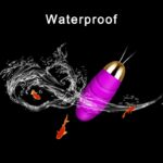 APP Remote Control G Spot Clitoris Stimulate egg vibrate - Image 3